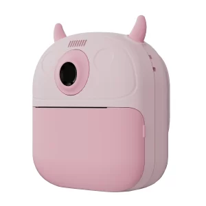 Wholesale Mini Handheld Photo Printer – P21, Take Photos Immediately and Print Them Out. You Can Also Record Videos