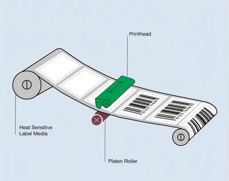 Direct-Thermal-Printing-Diagram