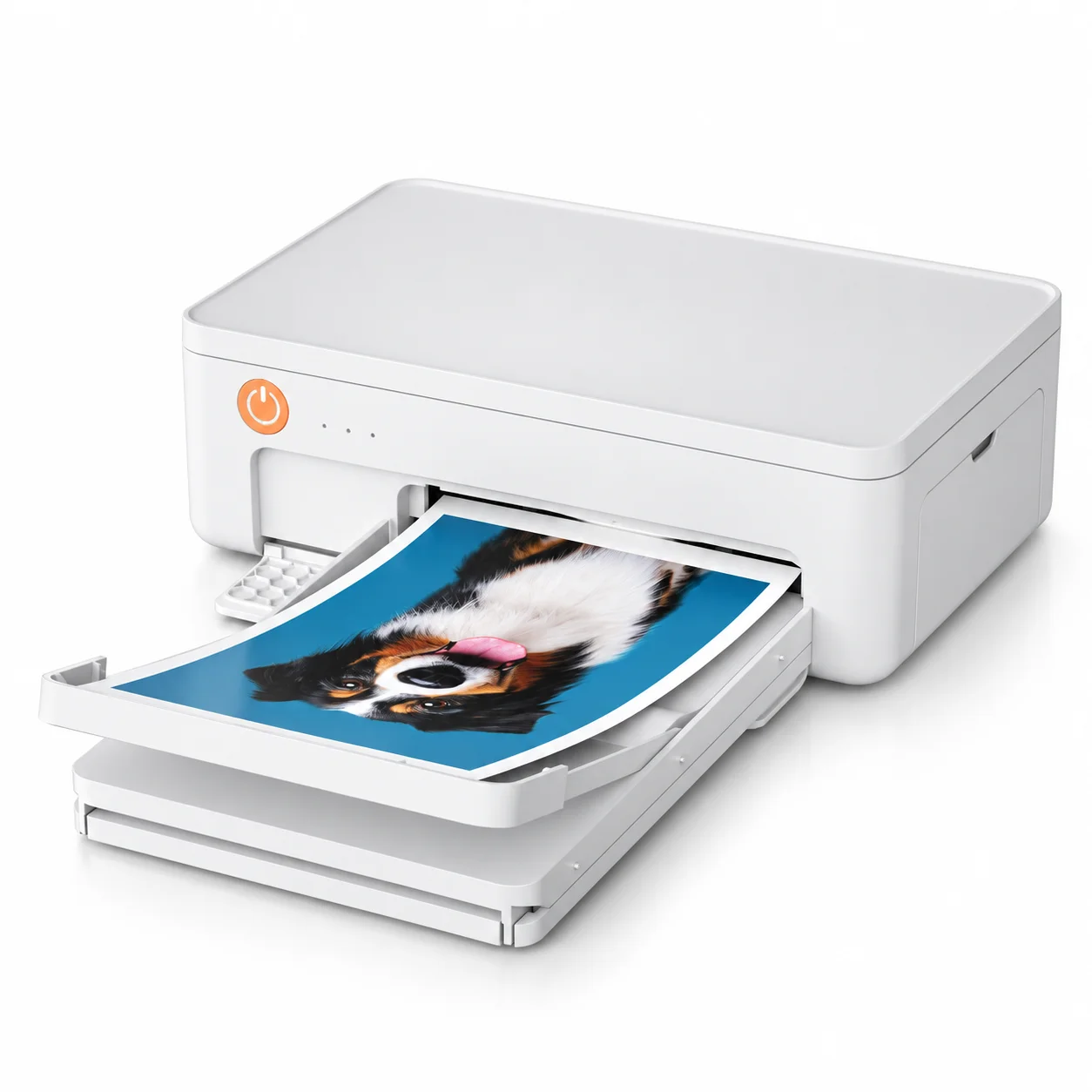 Dye Sublimation Photo Printer Z11 (1)