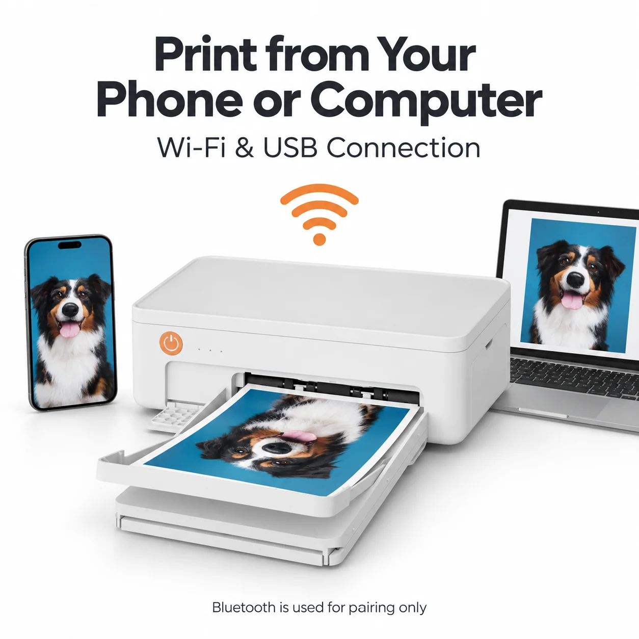 Dye Sublimation Photo Printer Z11 (3)